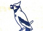Bluejay from cover of VHS Student Handbook, circa 1965